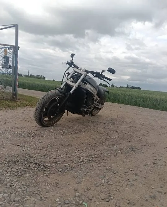 Kawasaki ZX 10 Tomcat