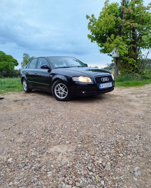 Audi A4 B7 sedan 1,9 tdi